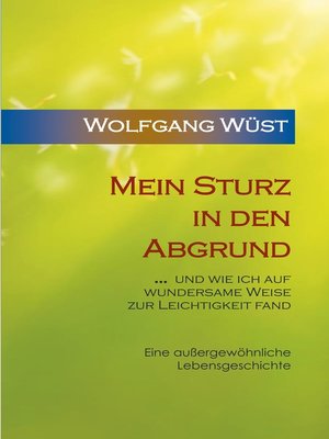 cover image of Mein Sturz in den Abgrund